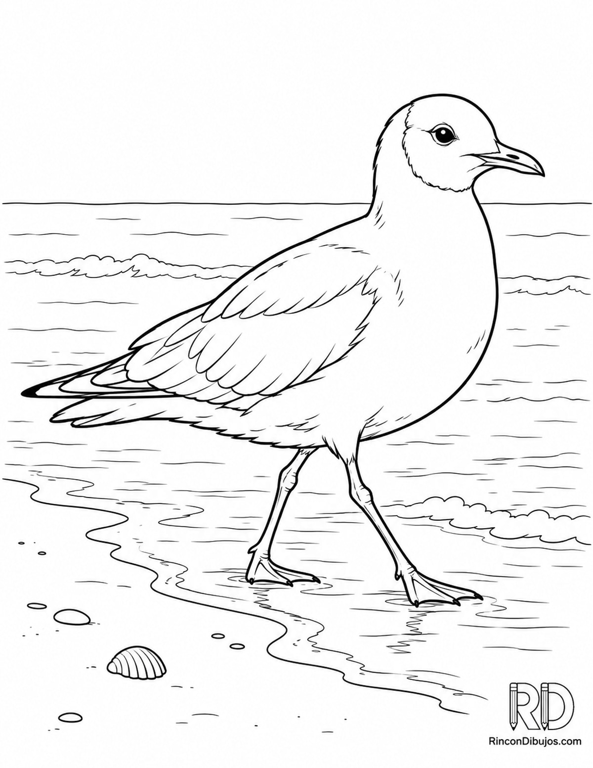 Dibujo de gaviota reidora para colorear Dibujo de gaviota reidora para colorear