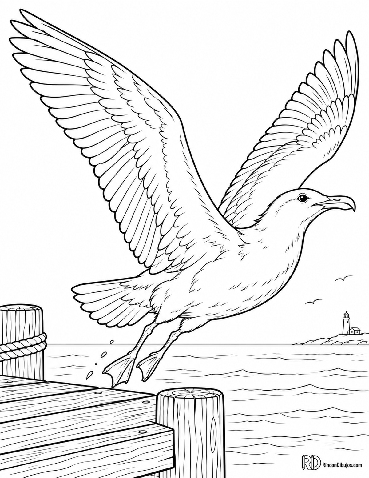 Dibujo de gaviota volando para colorear Dibujo de gaviota volando para colorear
