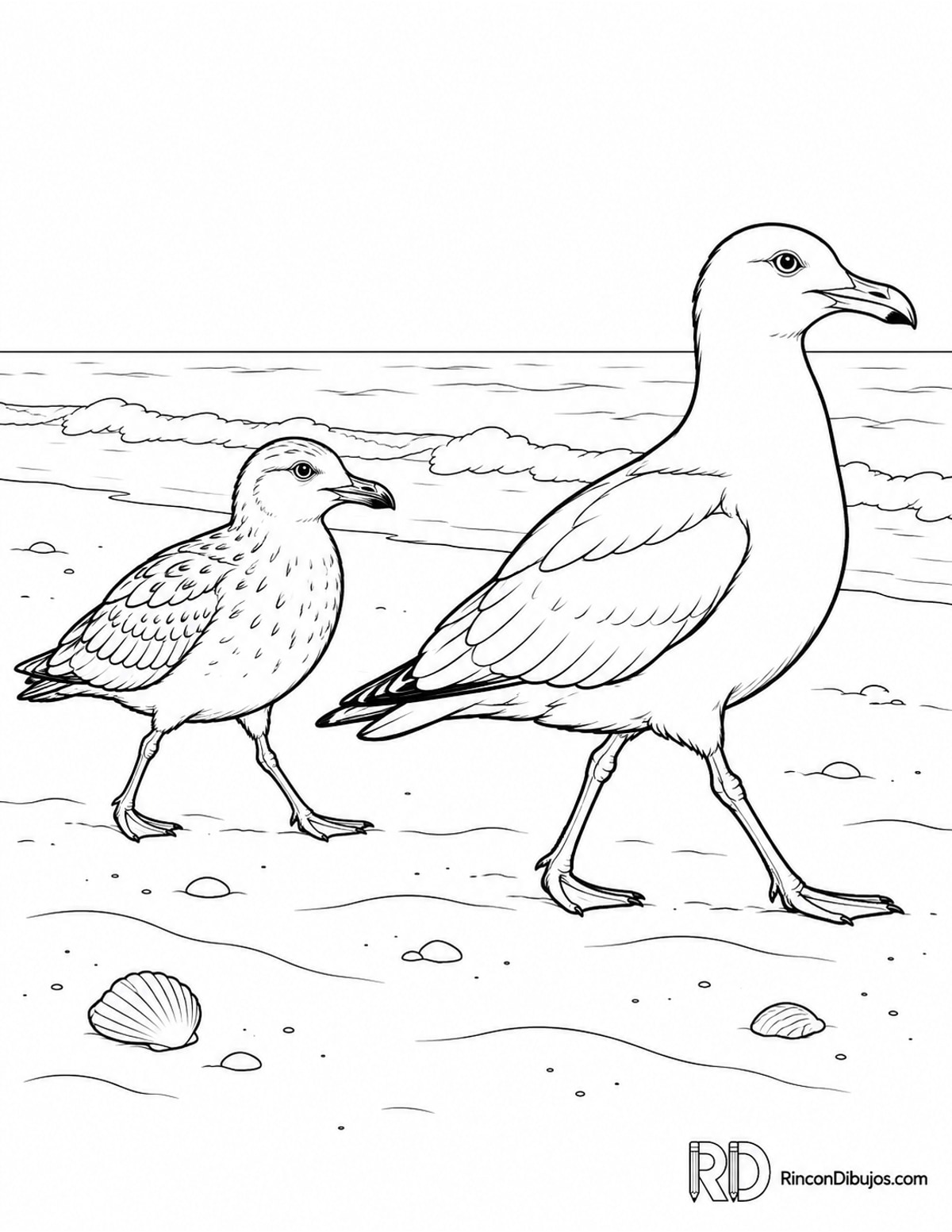 Dibujo de gaviotas para colorear Dibujo de gaviotas para colorear