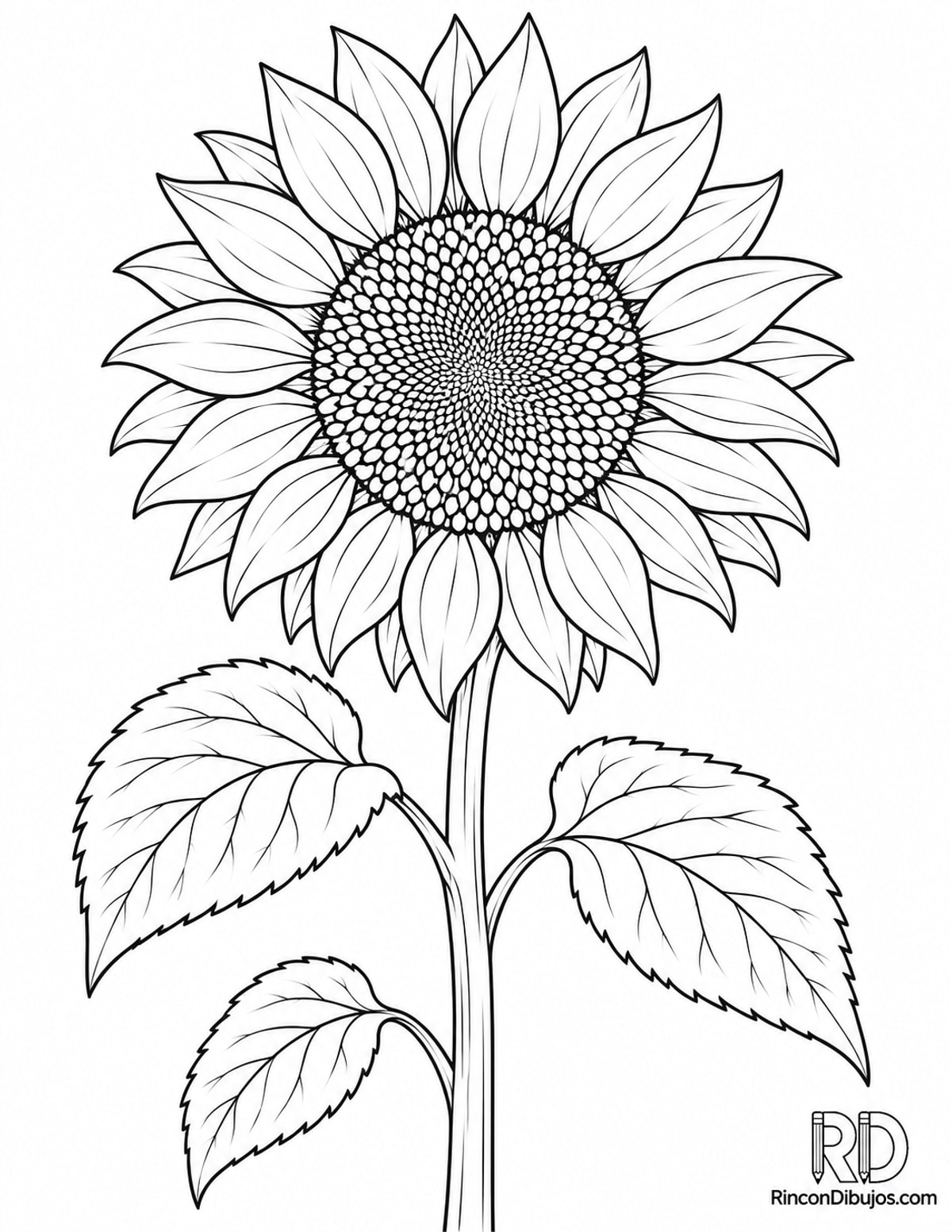 Dibujo de girasol grande para colorear Dibujo de girasol grande para colorear