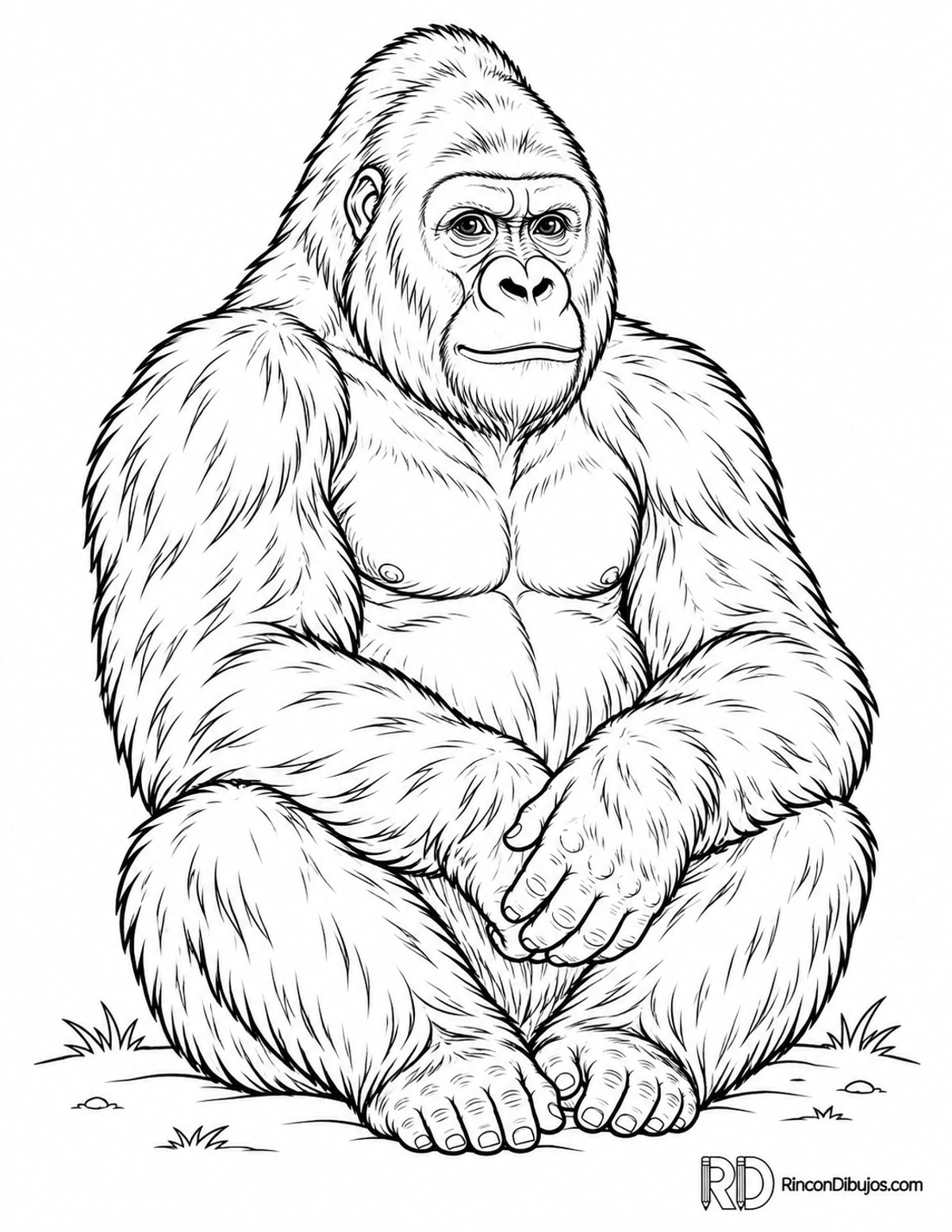 Dibujo de gorila adulto sentado para colorear Dibujo de gorila adulto sentado para colorear