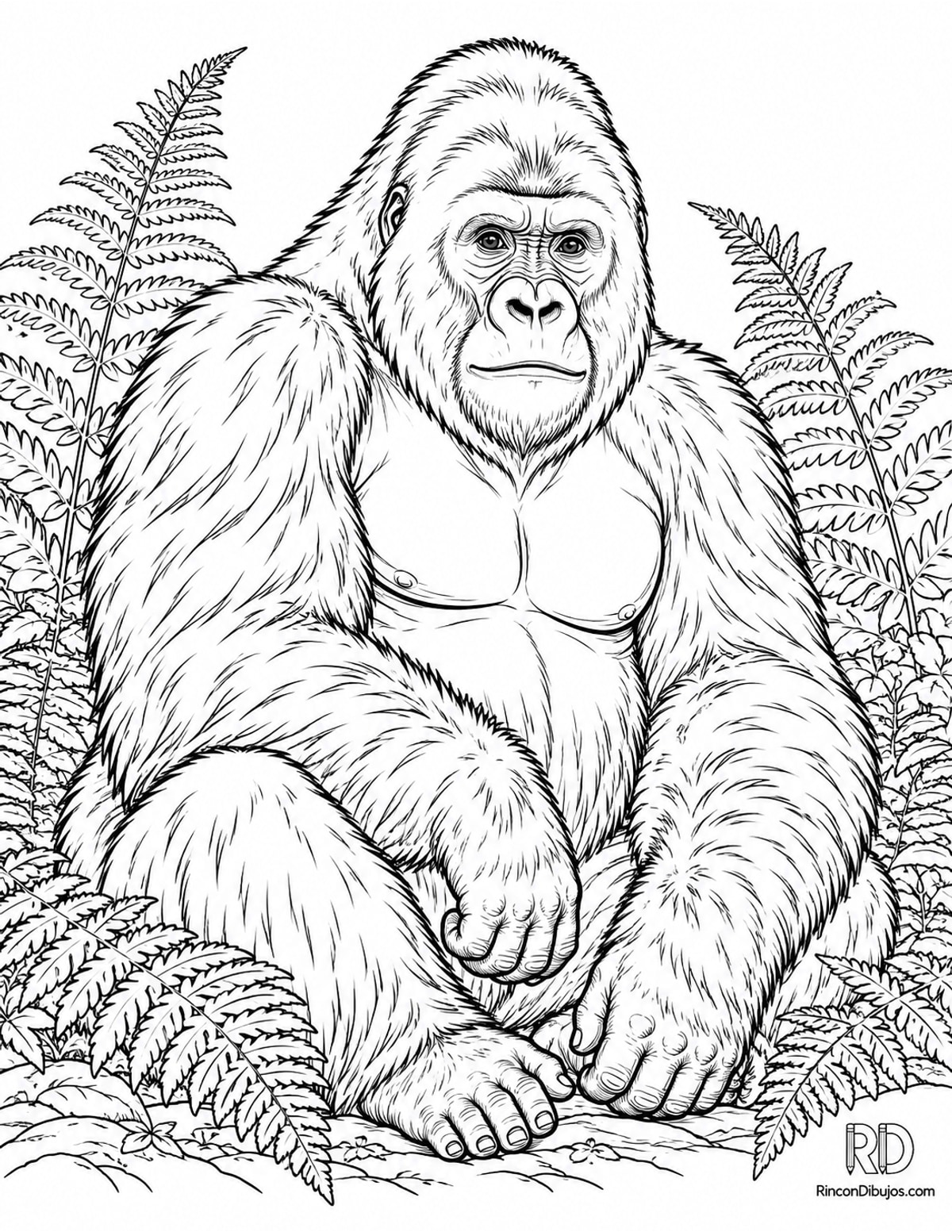 Dibujo de gorila de montaña facil para colorear Dibujo de gorila de montaña facil para colorear