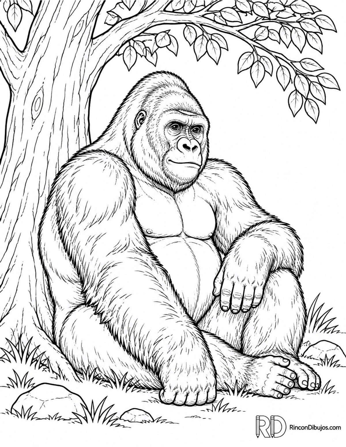 Dibujo de gorila espalda plateada facil para colorear Dibujo de gorila espalda plateada facil para colorear