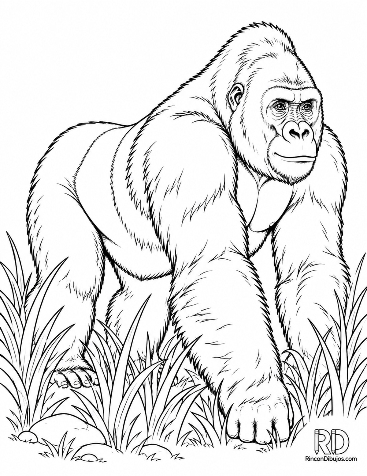 Dibujo de gorila espalda plateada para colorear para colorear Dibujo de gorila espalda plateada para colorear para colorear