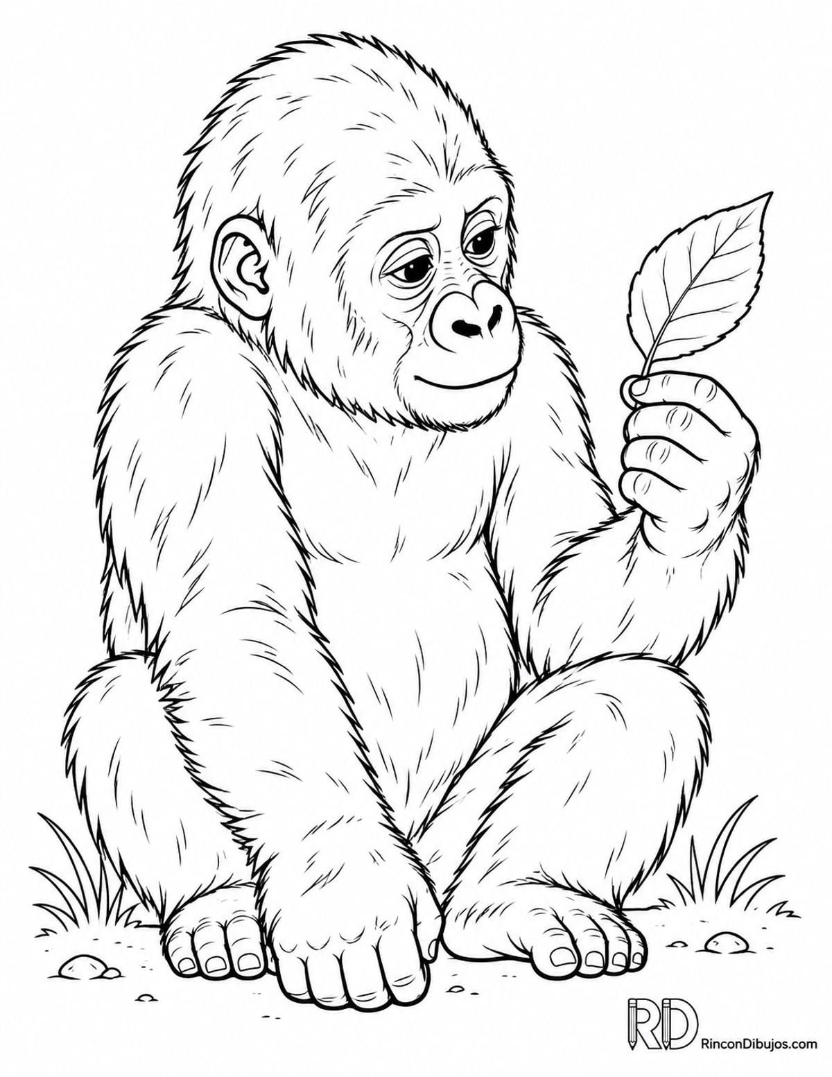 Dibujo de gorila joven para colorear Dibujo de gorila joven para colorear