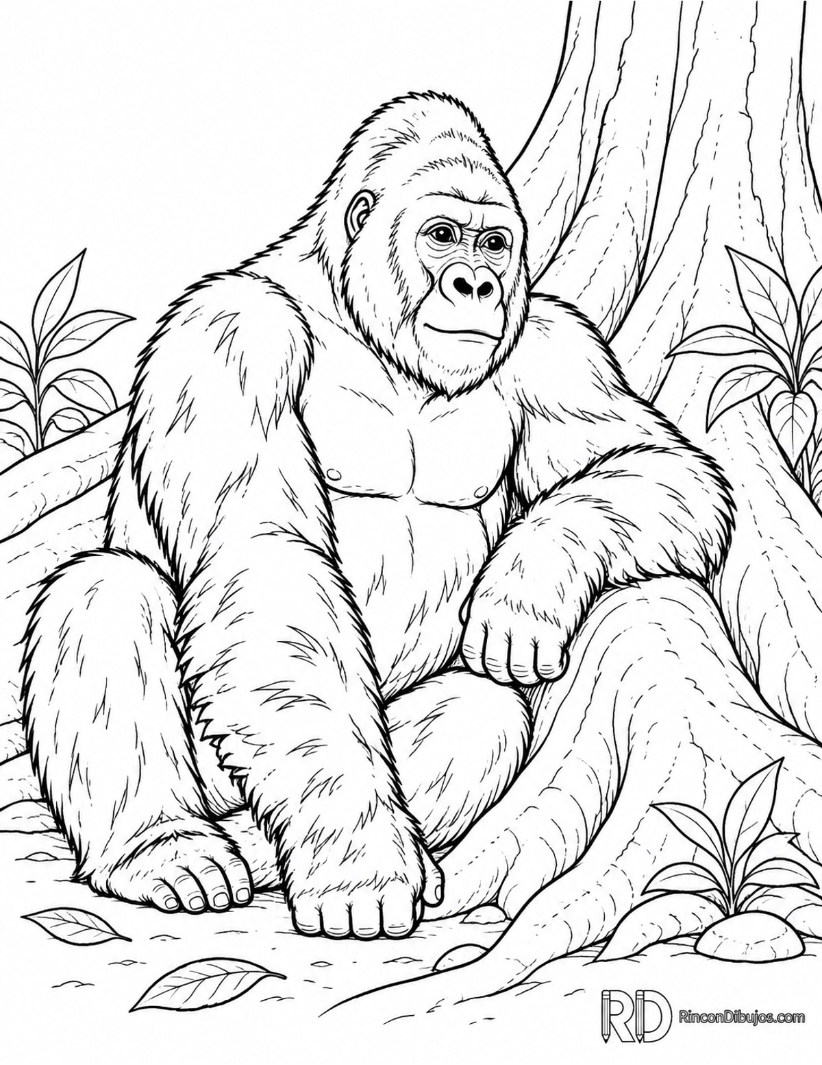 Dibujo de gorila occidental para colorear para colorear Dibujo de gorila occidental para colorear para colorear