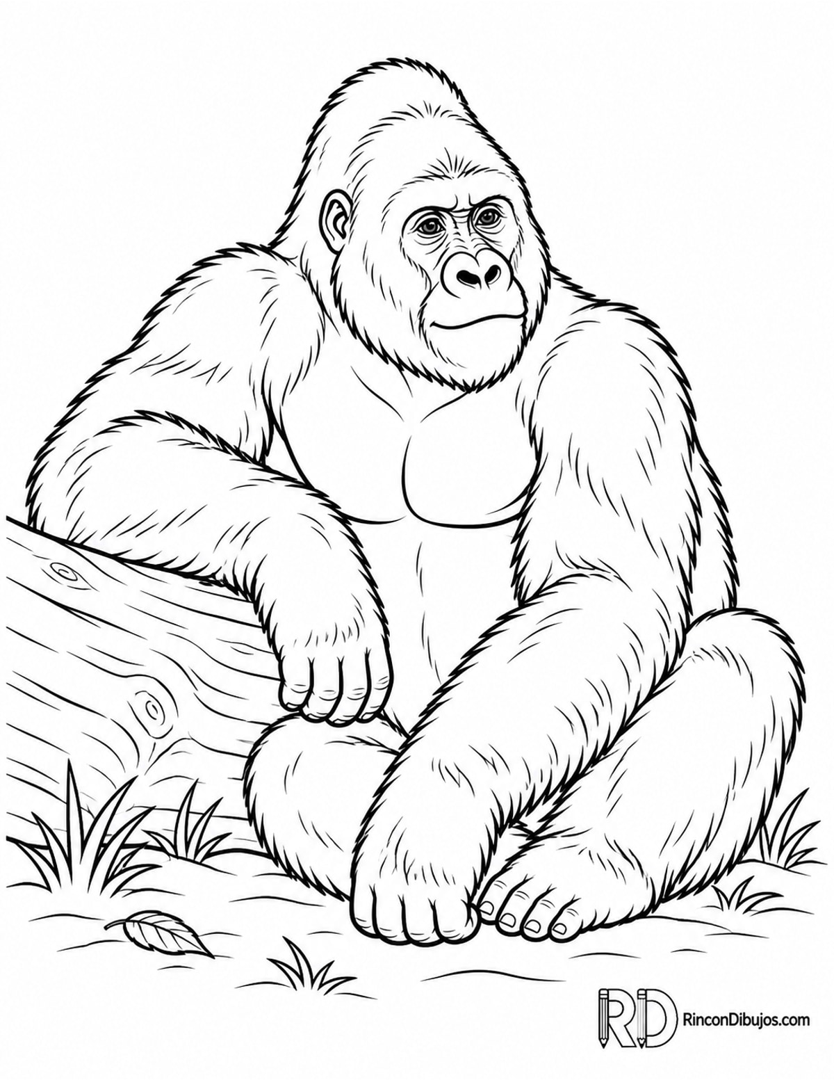Dibujo de gorila oriental para colorear Dibujo de gorila oriental para colorear