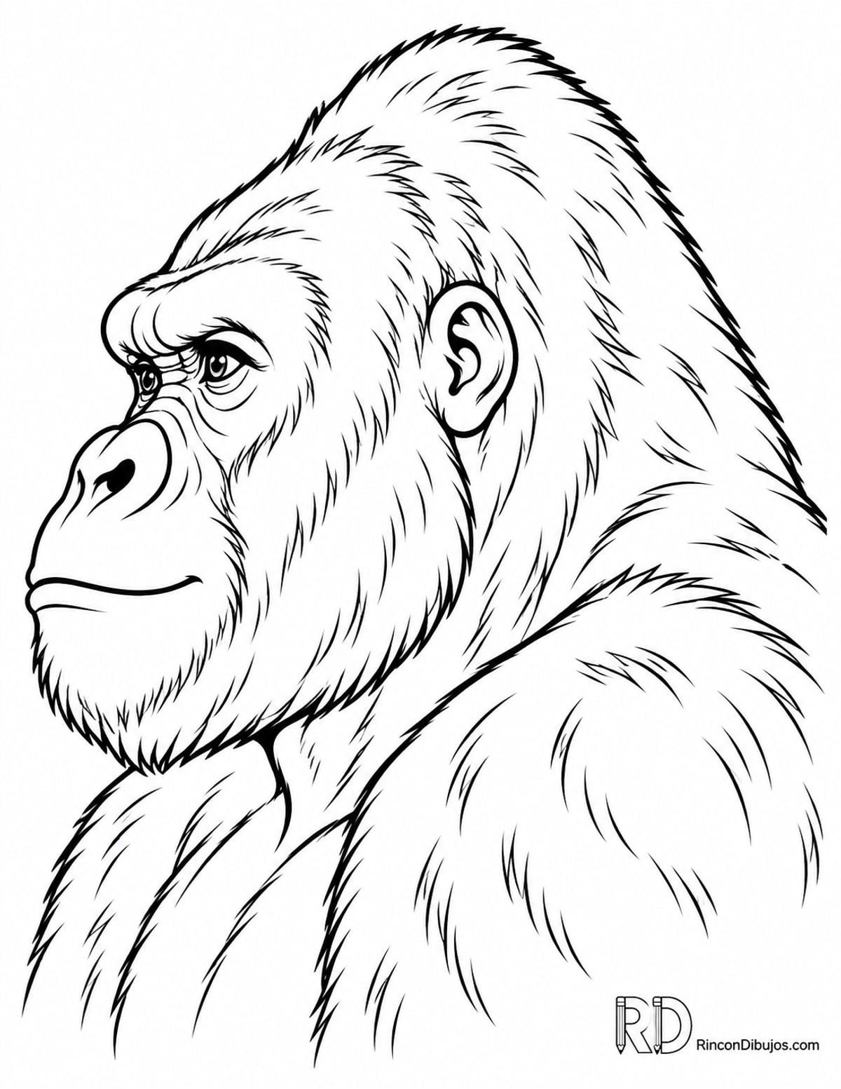 Dibujo de gorila para colorear Dibujo de gorila para colorear