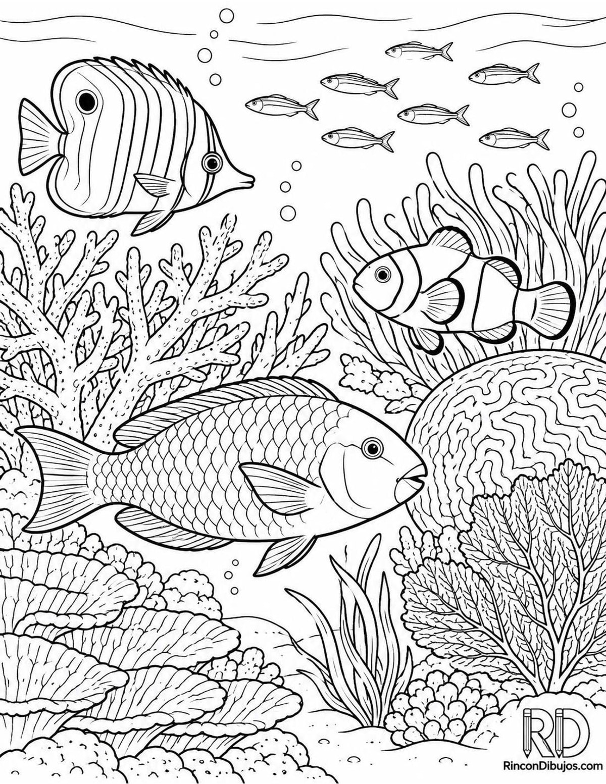 Dibujo de Gran Barrera de Coral para colorear Dibujo de Gran Barrera de Coral para colorear