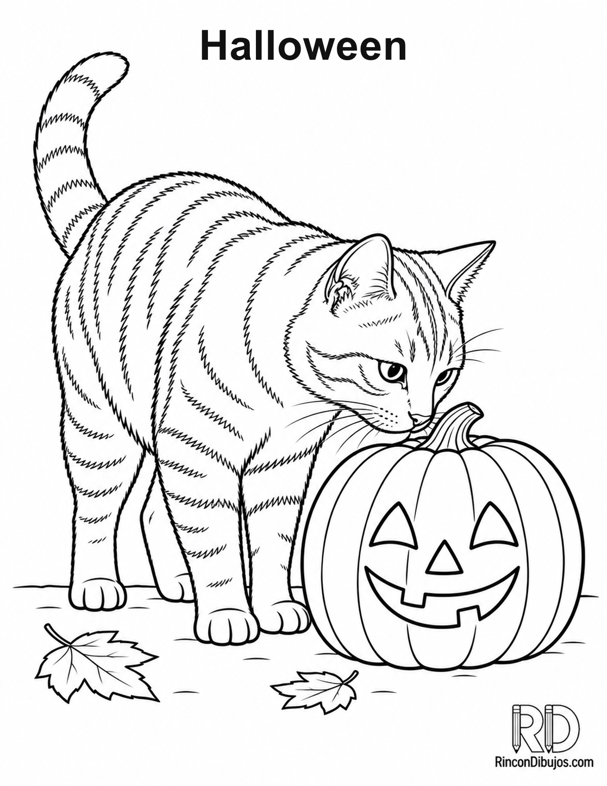 Dibujo de Halloween gato atigrado para colorear Dibujo de Halloween gato atigrado para colorear