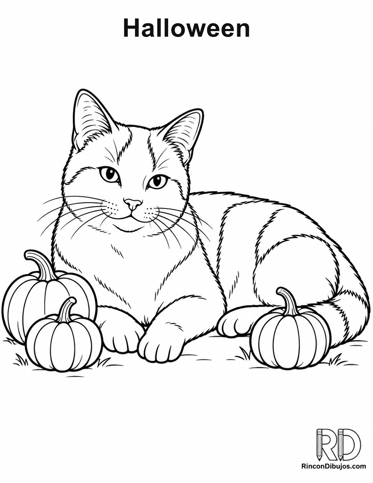 Dibujo de Halloween gato blanco para colorear Dibujo de Halloween gato blanco para colorear