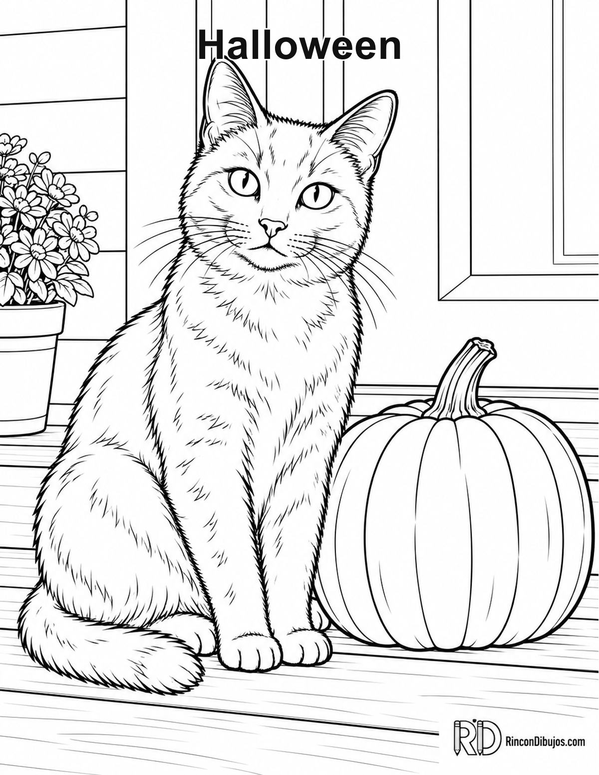 Dibujo de Halloween gato negro para colorear Dibujo de Halloween gato negro para colorear