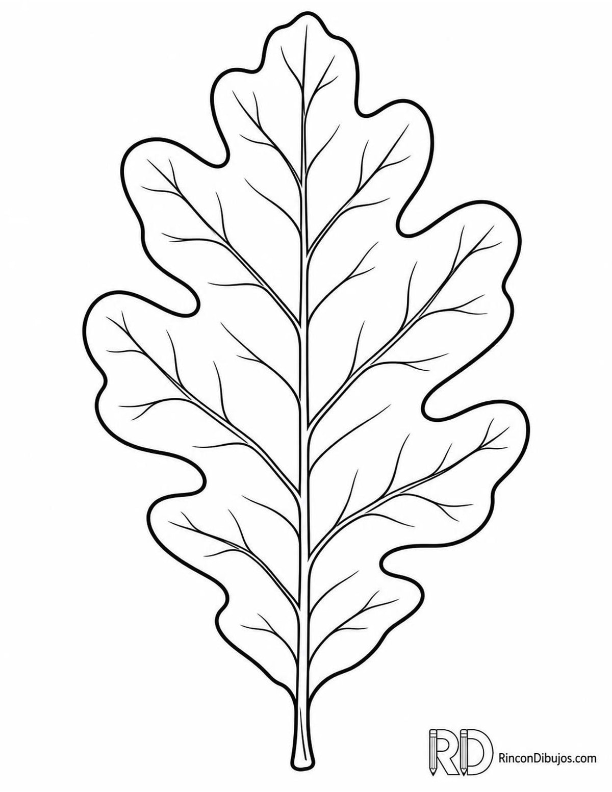 Dibujo de hoja de roble para colorear