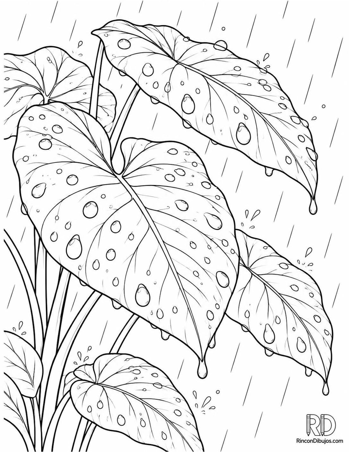 Dibujo de hojas con gotas para colorear Dibujo de hojas con gotas para colorear