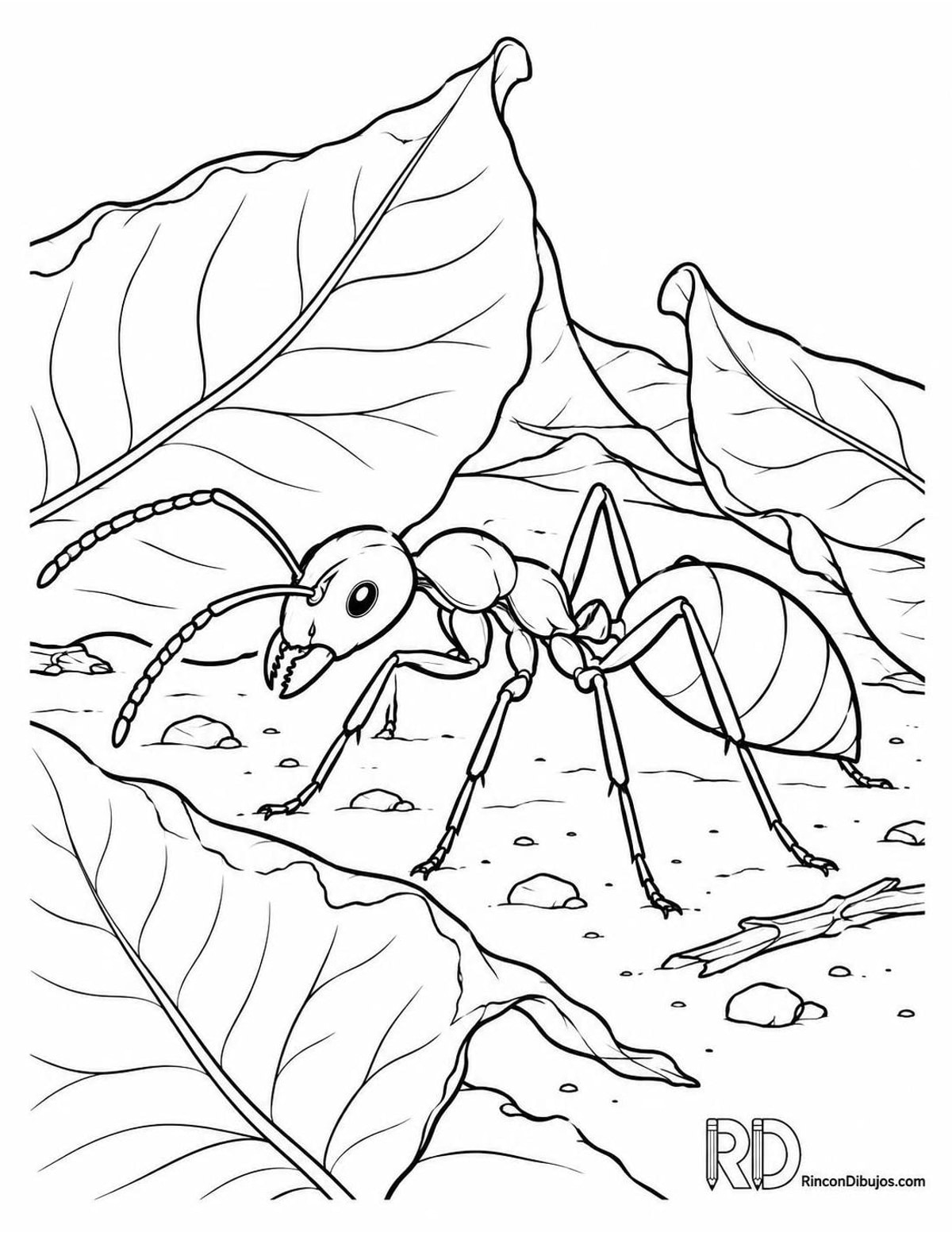 Dibujo de hormiga argentina para colorear Dibujo de hormiga argentina para colorear