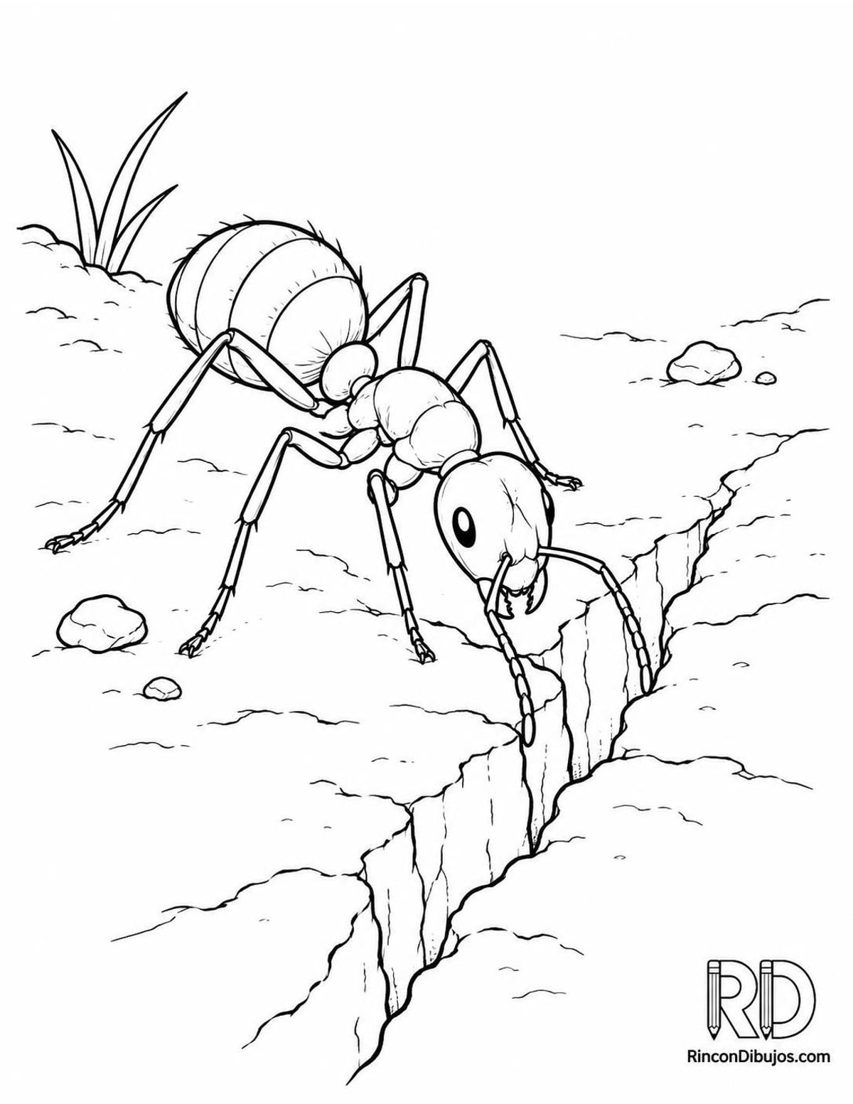 Dibujo de hormiga en grieta para colorear Dibujo de hormiga en grieta para colorear