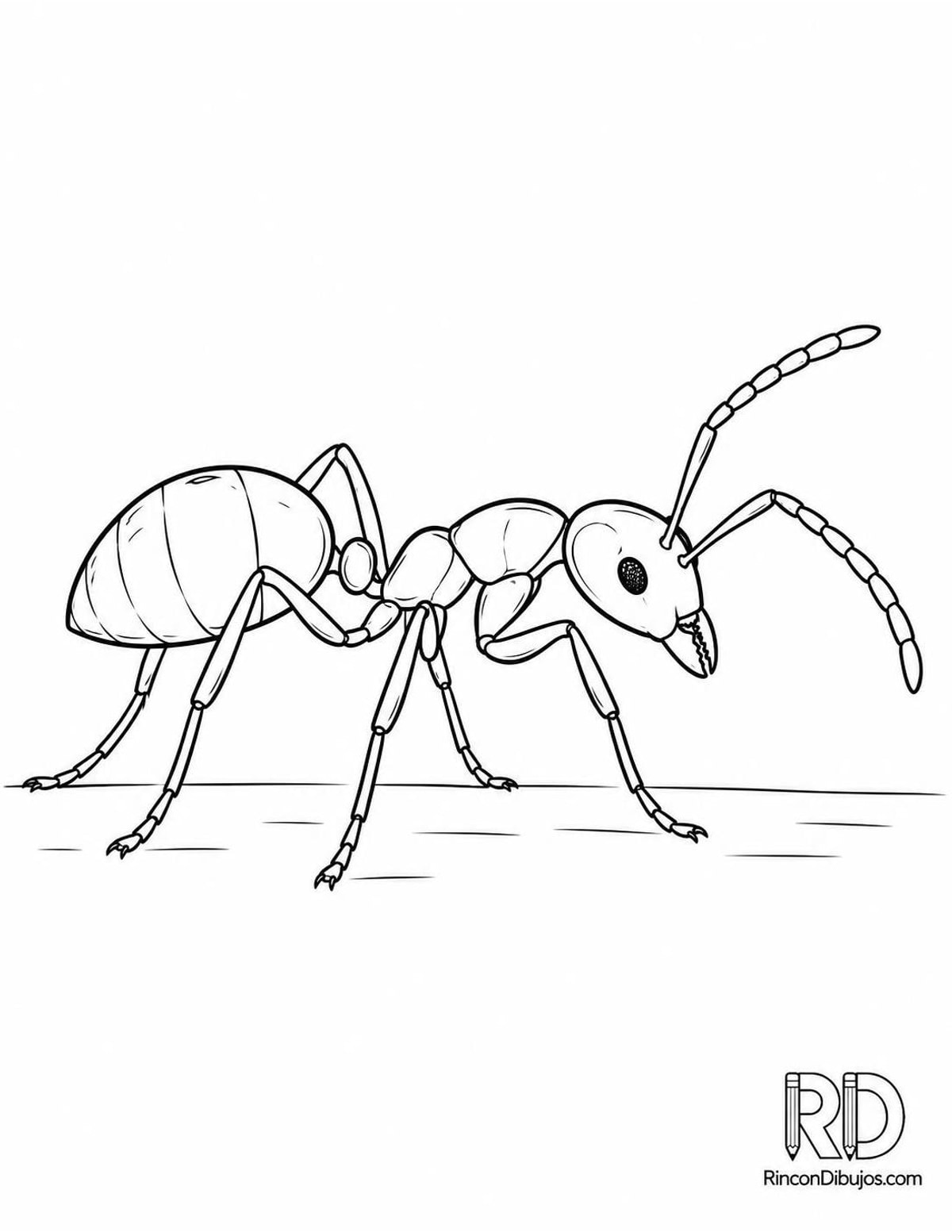 Dibujo de hormiga faraona para colorear Dibujo de hormiga faraona para colorear