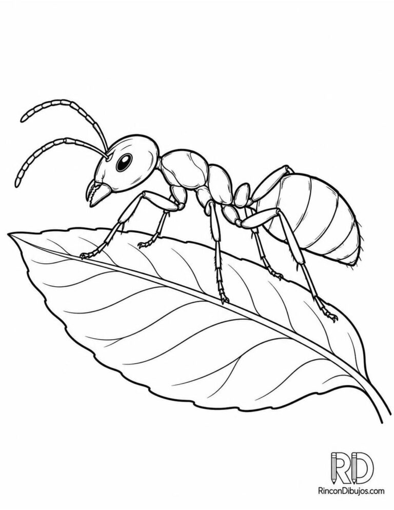 Dibujos de Hormigas para Colorear