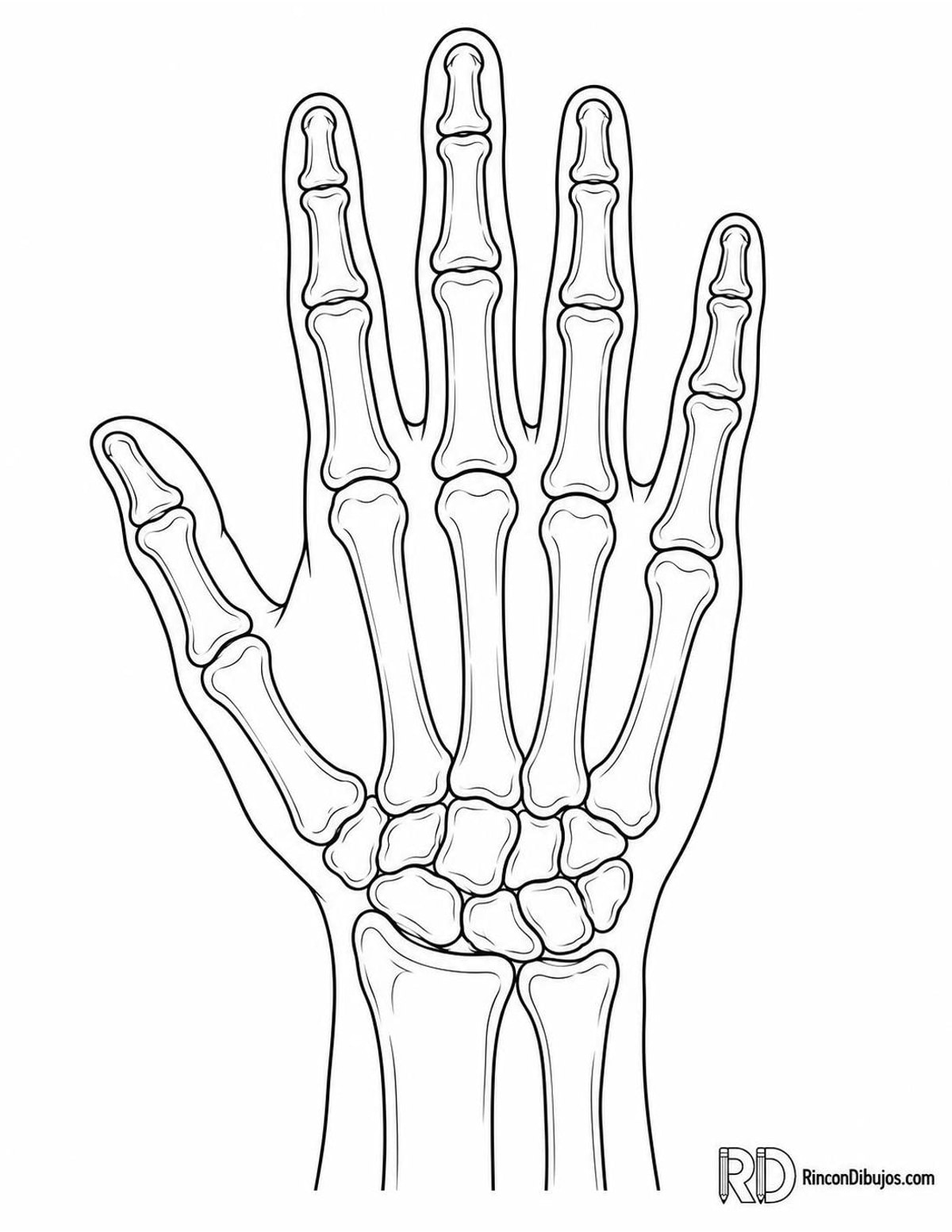Dibujo de huesos de mano para colorear