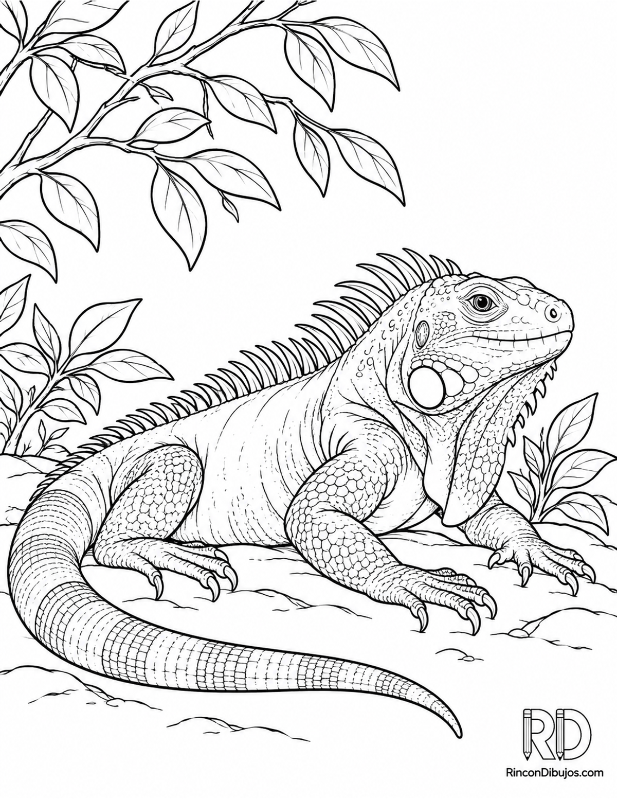 Dibujo de iguana azul descansando para colorear Dibujo de iguana azul descansando para colorear