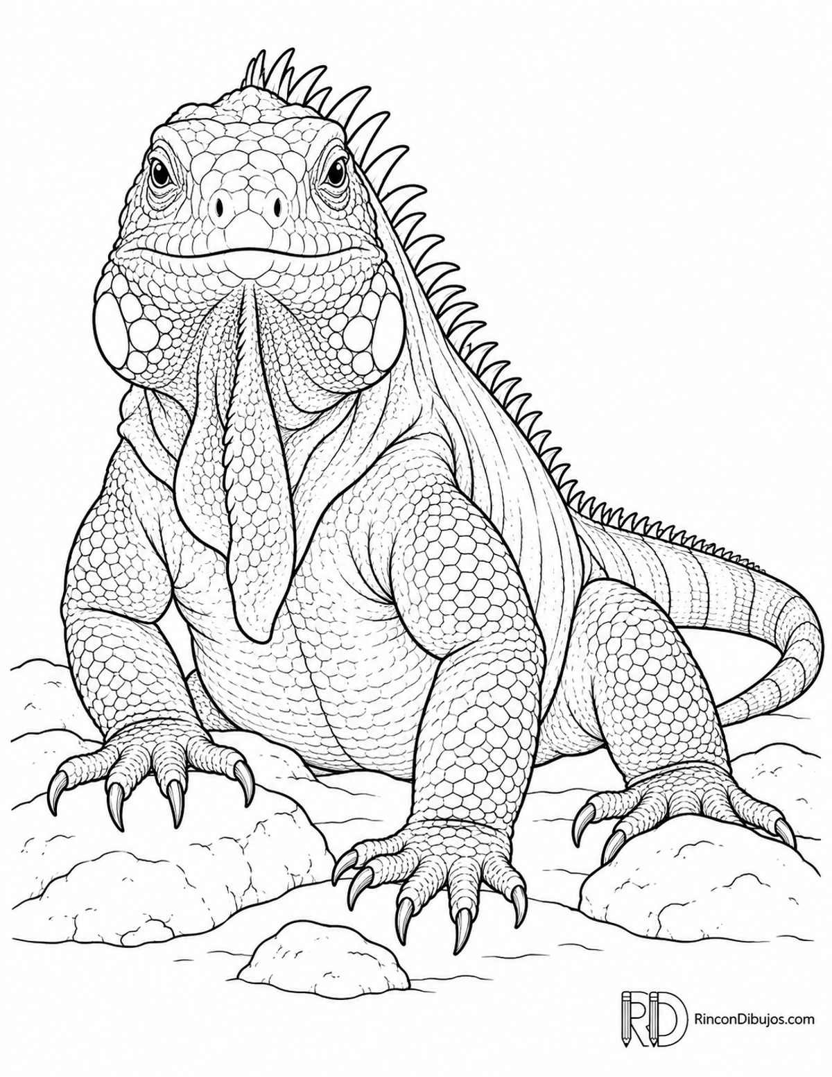 Dibujo de iguana azul para colorear Dibujo de iguana azul para colorear
