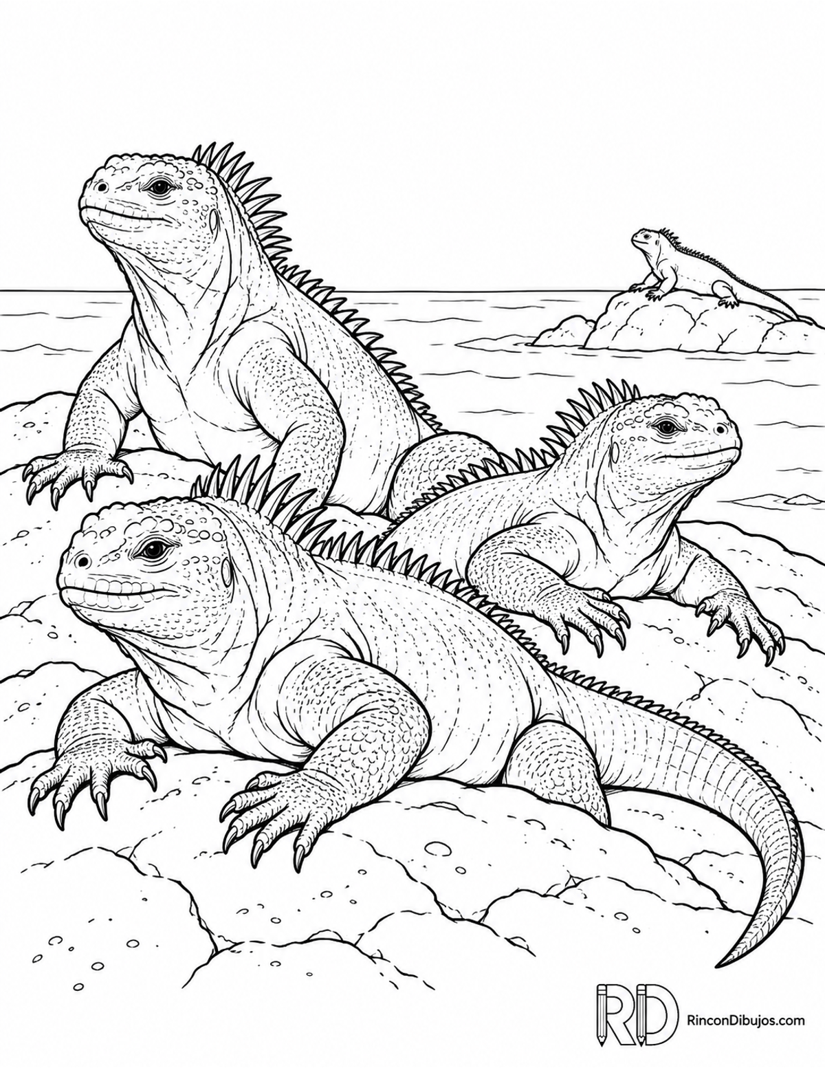 Dibujo de iguana marina descansando para colorear Dibujo de iguana marina descansando para colorear