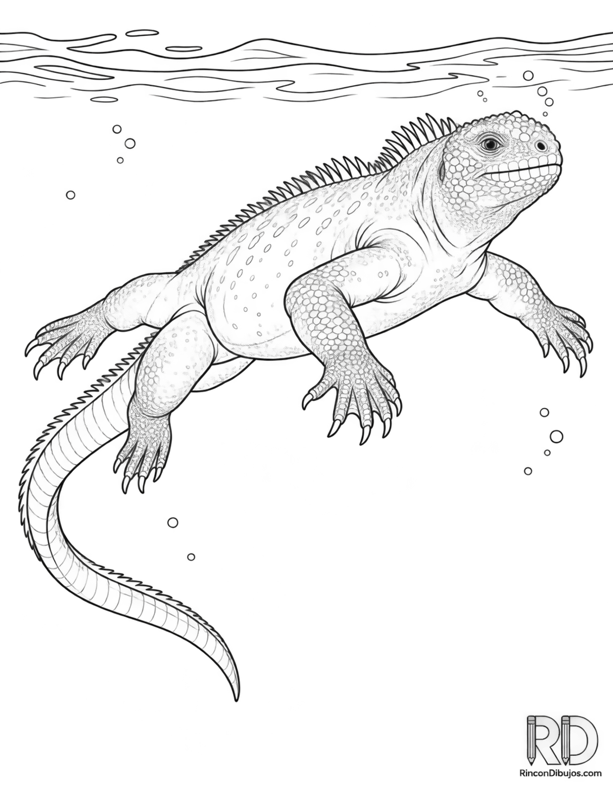 Dibujo de iguana marina nadando para colorear Dibujo de iguana marina nadando para colorear