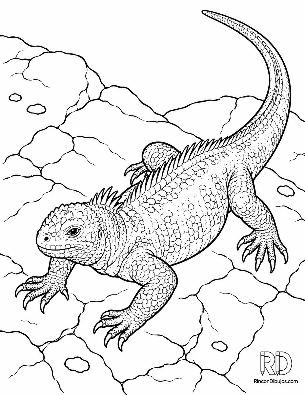 Dibujo de iguana marina para colorear Dibujo de iguana marina para colorear