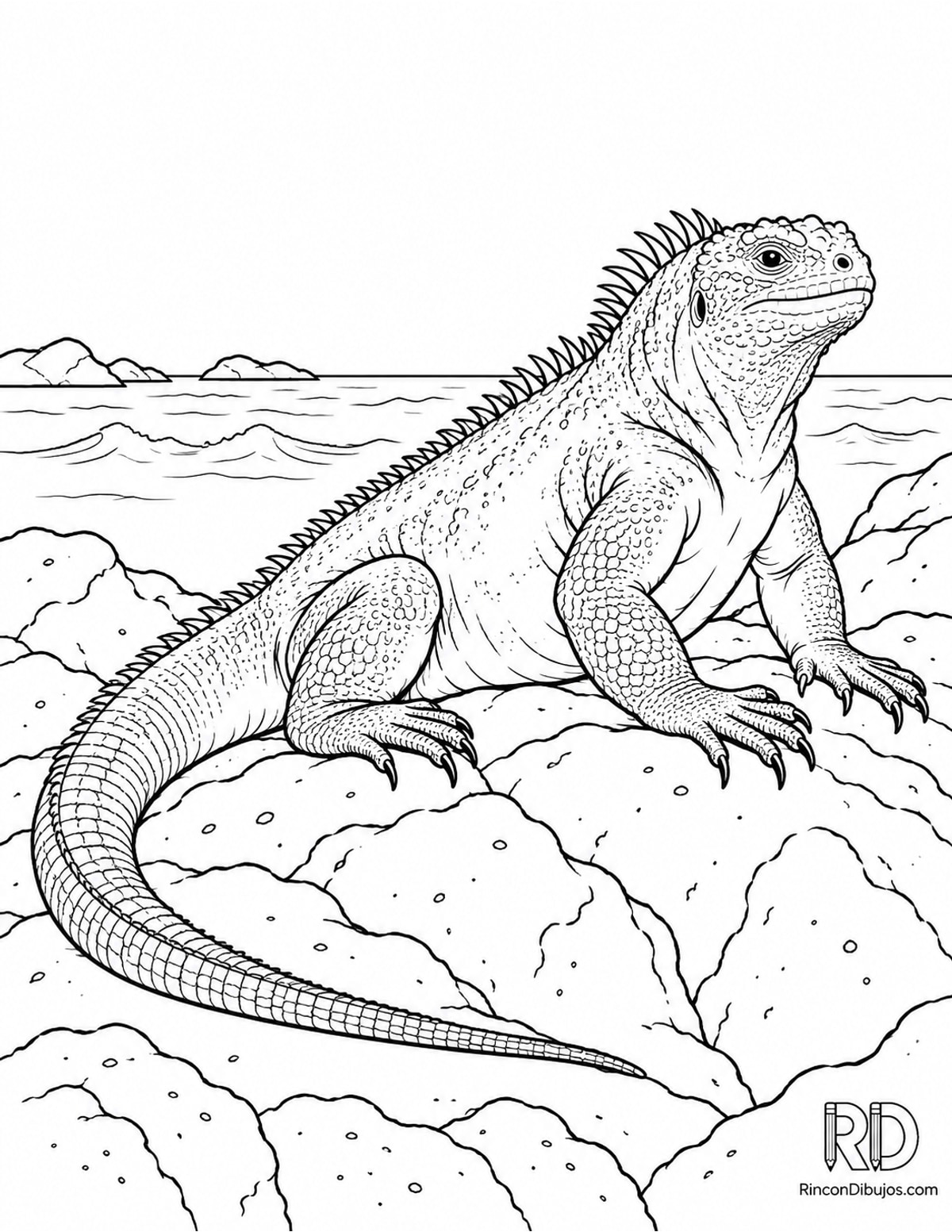 Dibujo de iguana marina para colorear