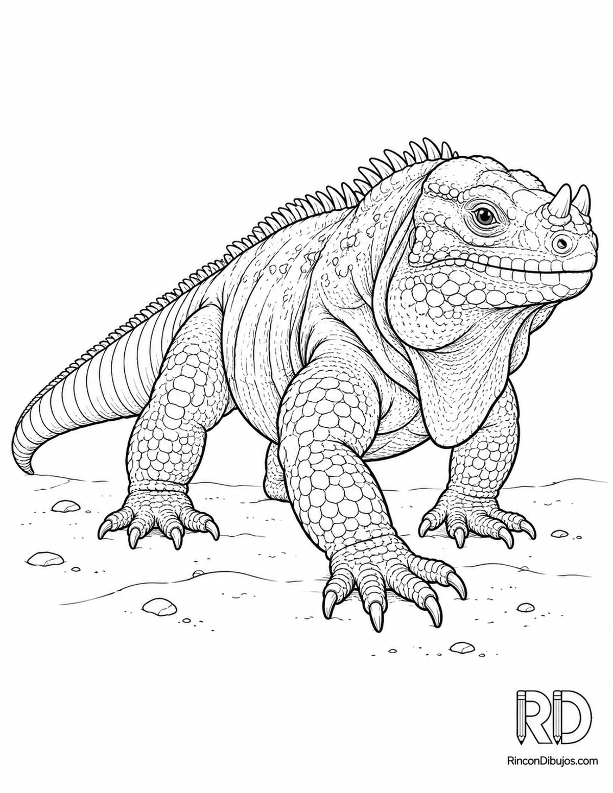 Dibujo de iguana rinoceronte caminando para colorear Dibujo de iguana rinoceronte caminando para colorear