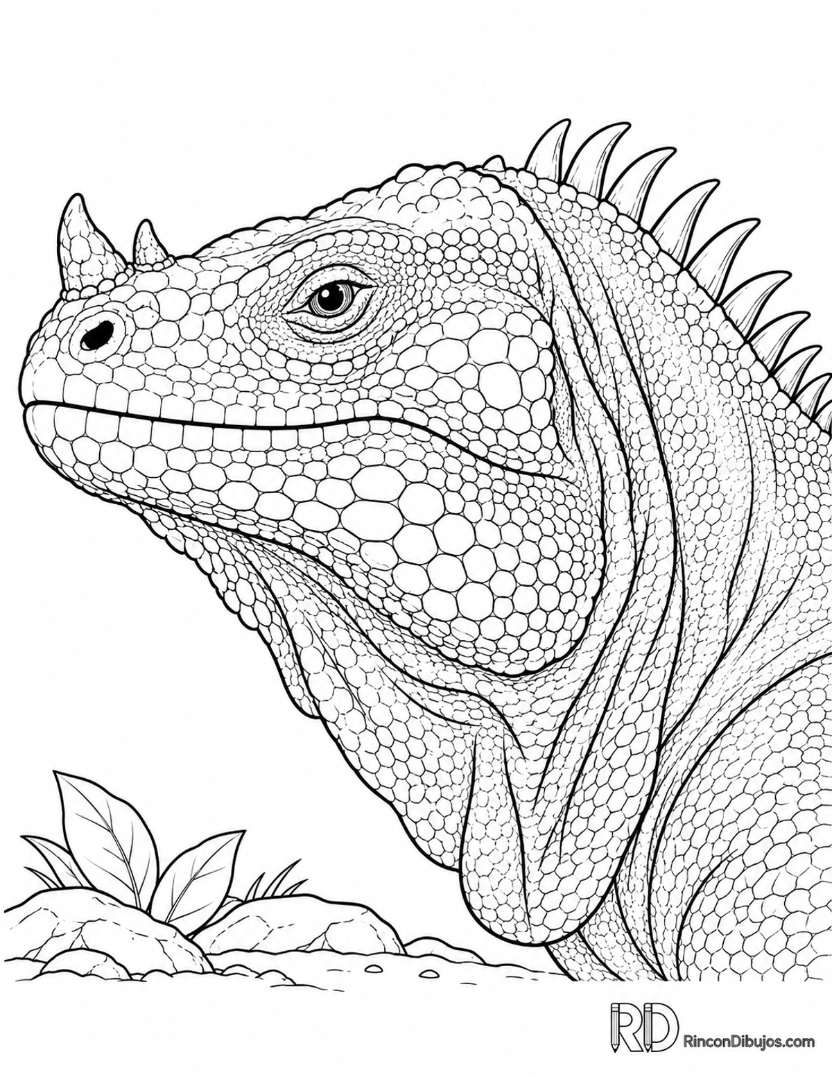 Dibujo de iguana rinoceronte para colorear Dibujo de iguana rinoceronte para colorear