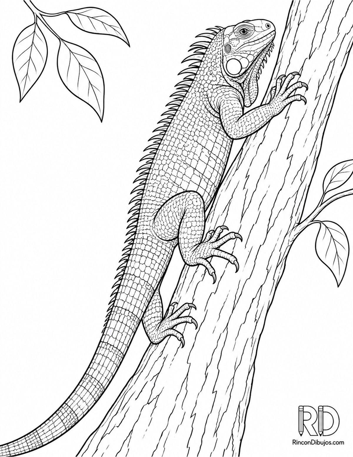 Dibujo de iguana trepando para colorear Dibujo de iguana trepando para colorear