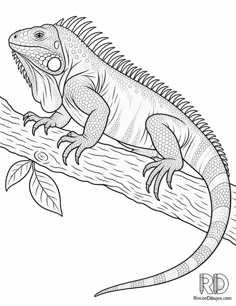 Dibujos de Iguanas para Colorear