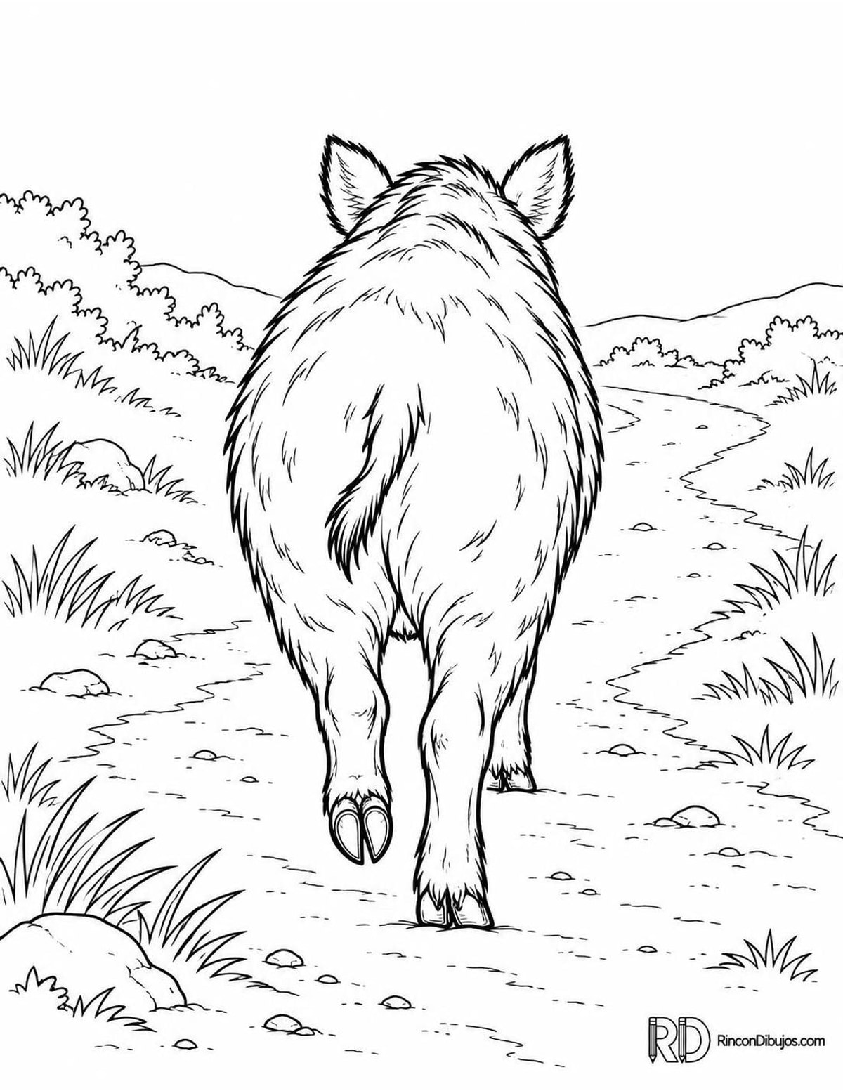 Dibujo de jabalí caminando para colorear