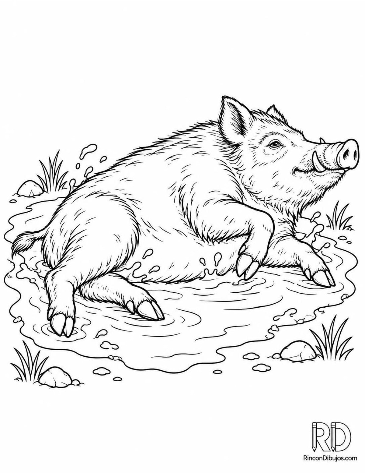 Dibujo de jabalí en barro para colorear
