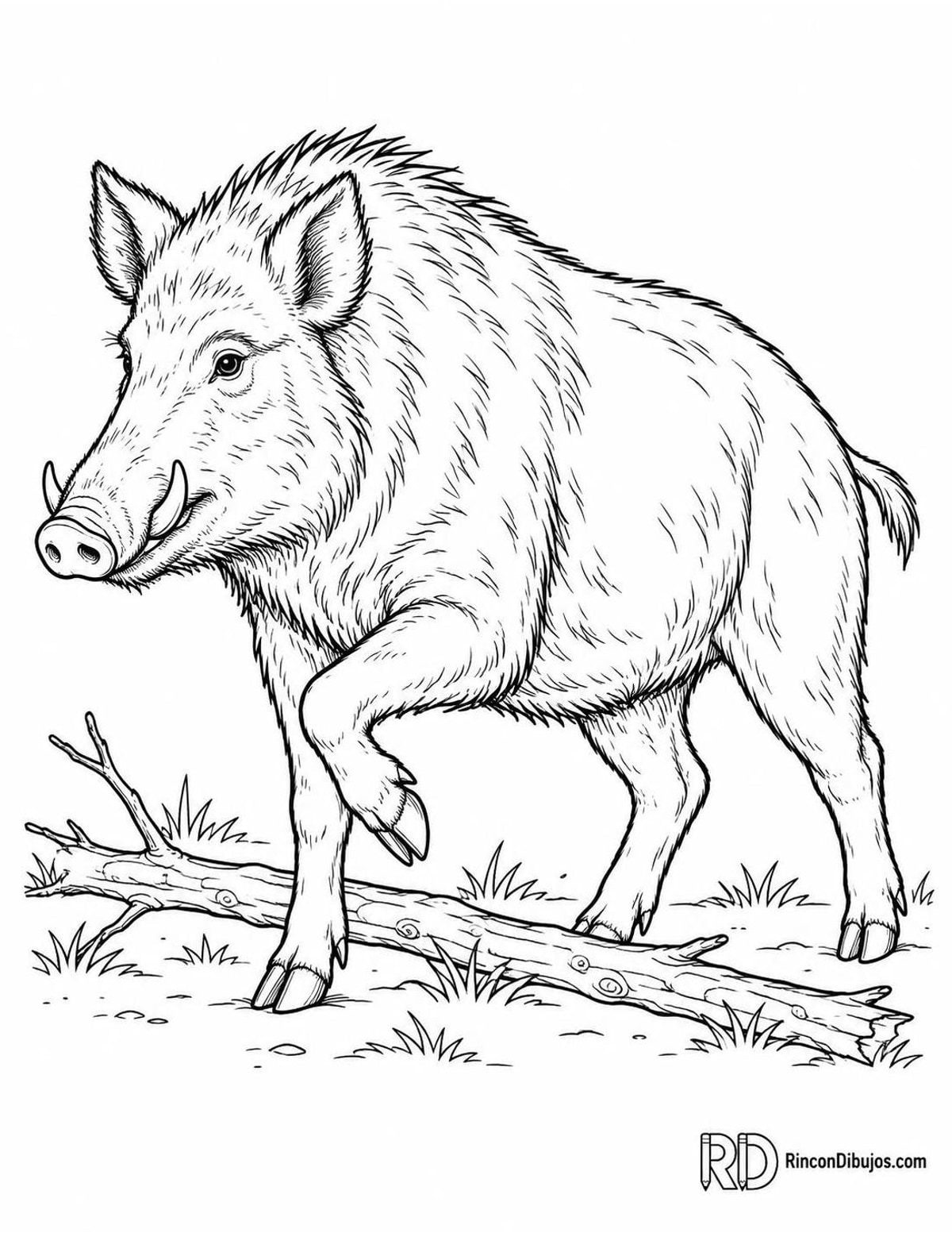 Dibujo de jabalí sorteando una rama para colorear