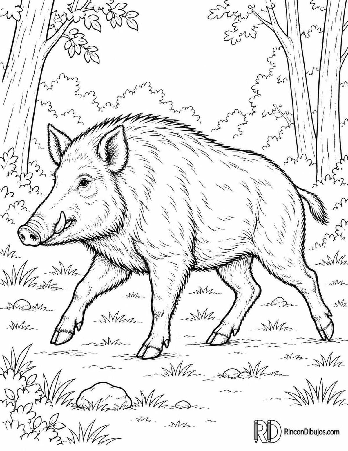 Dibujo de jabalí trotando para colorear