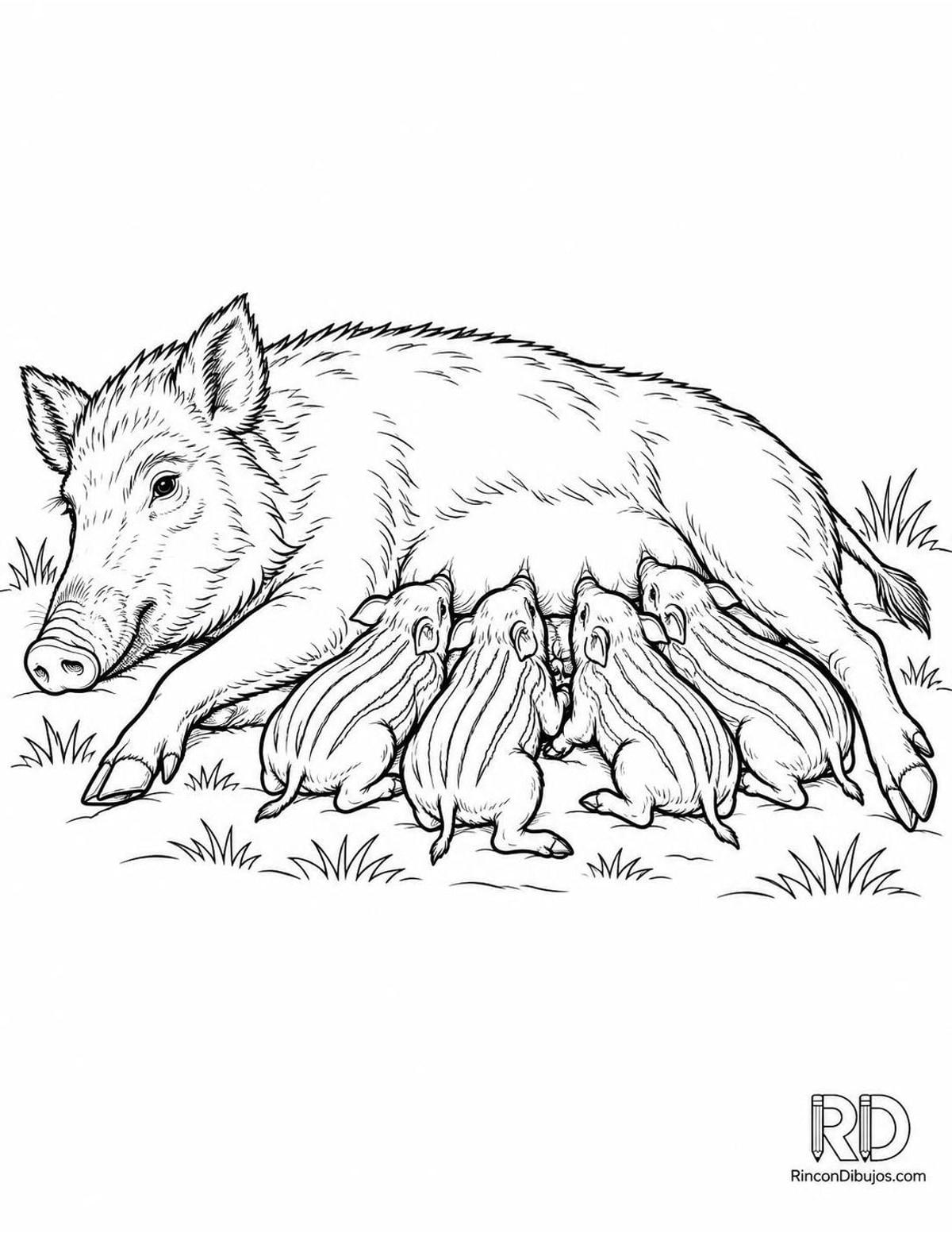 Dibujo de jabalina amamantando para colorear