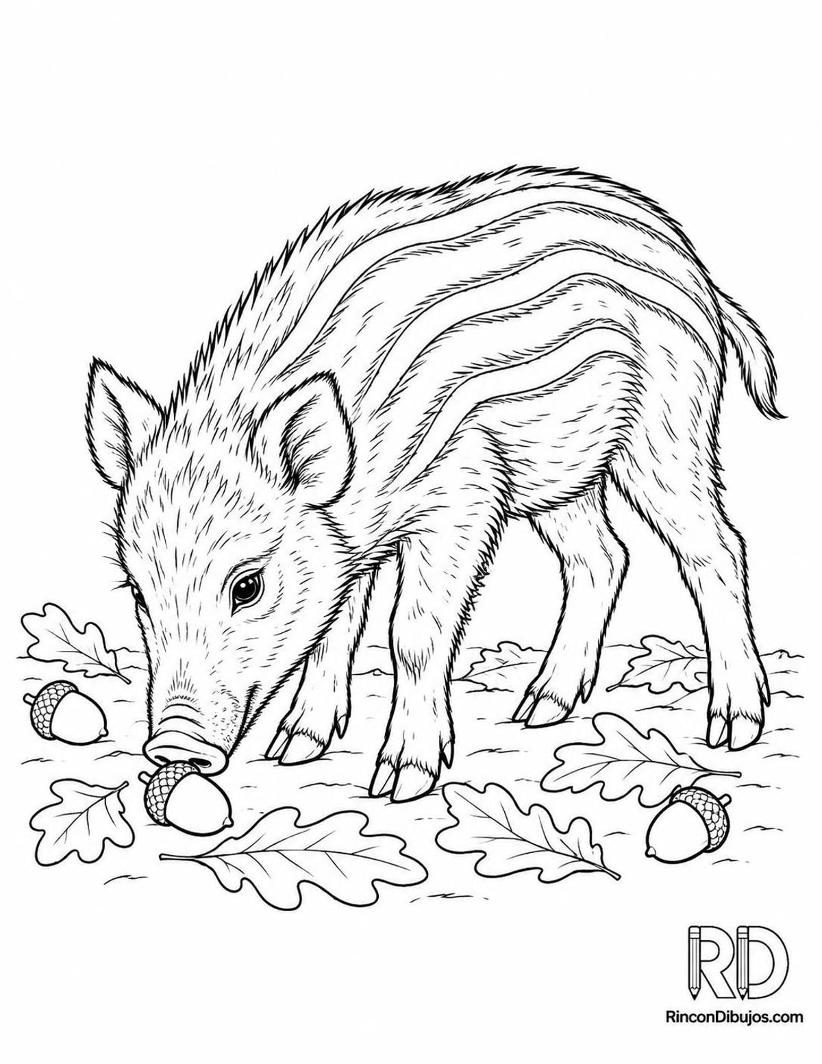 Dibujo de jabato con bellota para colorear