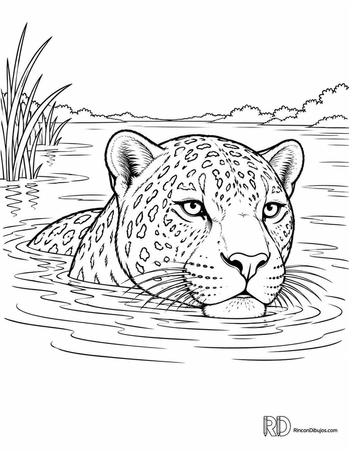 Dibujo de jaguar melánico nadando para colorear Dibujo de jaguar melánico nadando para colorear