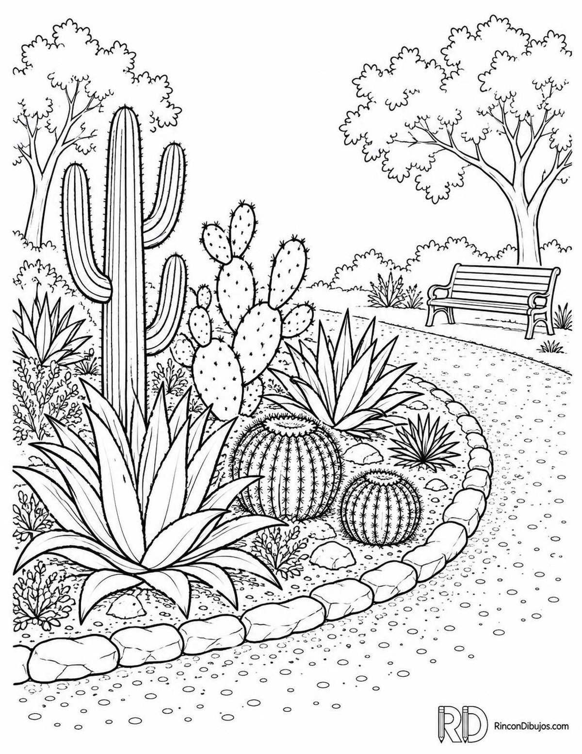 Dibujo de jardín de cactus para colorear Dibujo de jardín de cactus para colorear