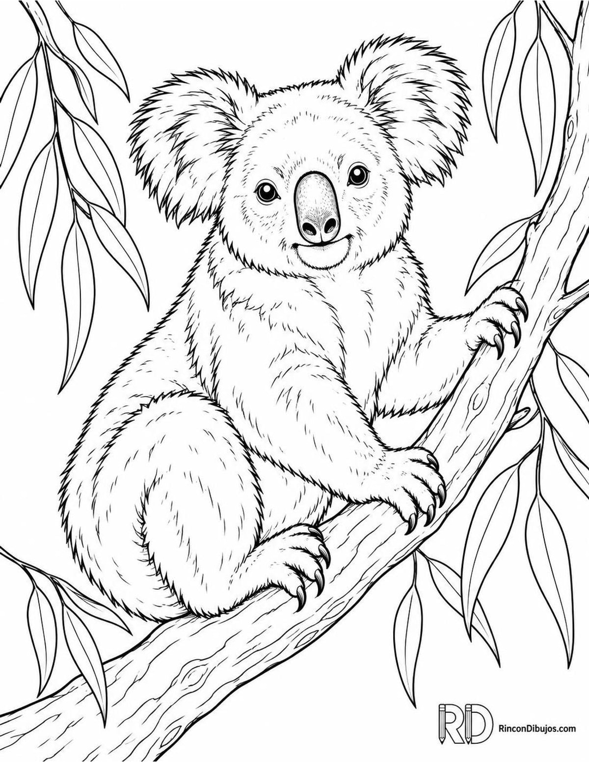 Dibujo de koala en eucalipto para colorear Dibujo de koala en eucalipto para colorear