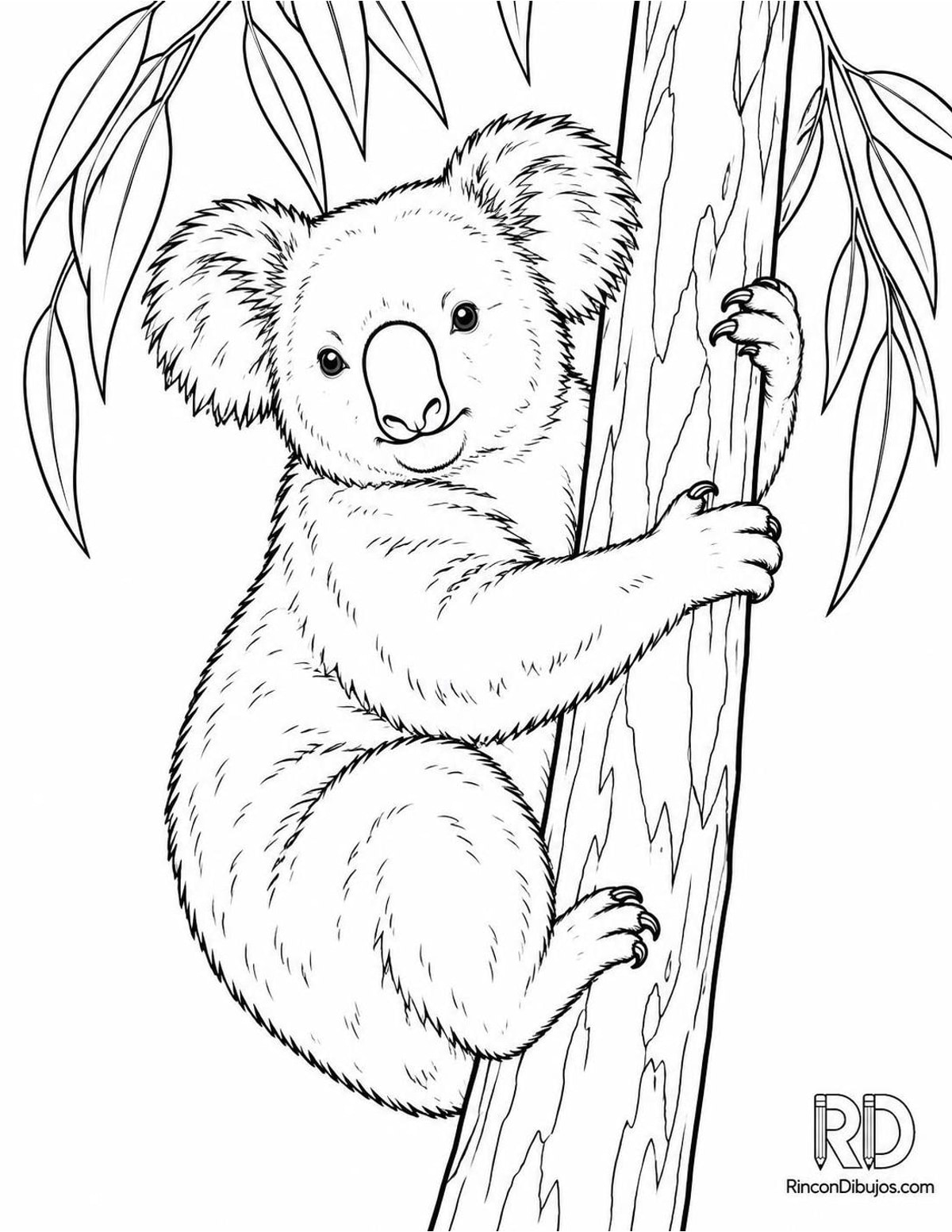 Dibujo de koala trepando para colorear Dibujo de koala trepando para colorear