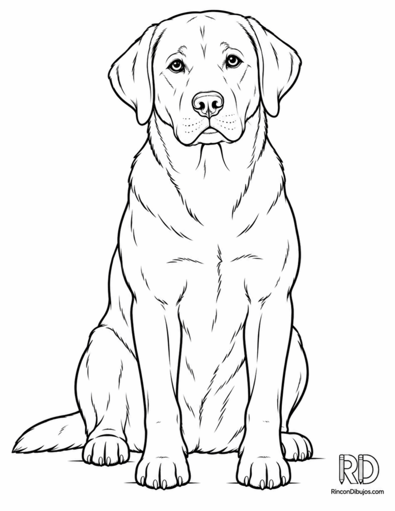 Dibujos de Perros Para Colorear
