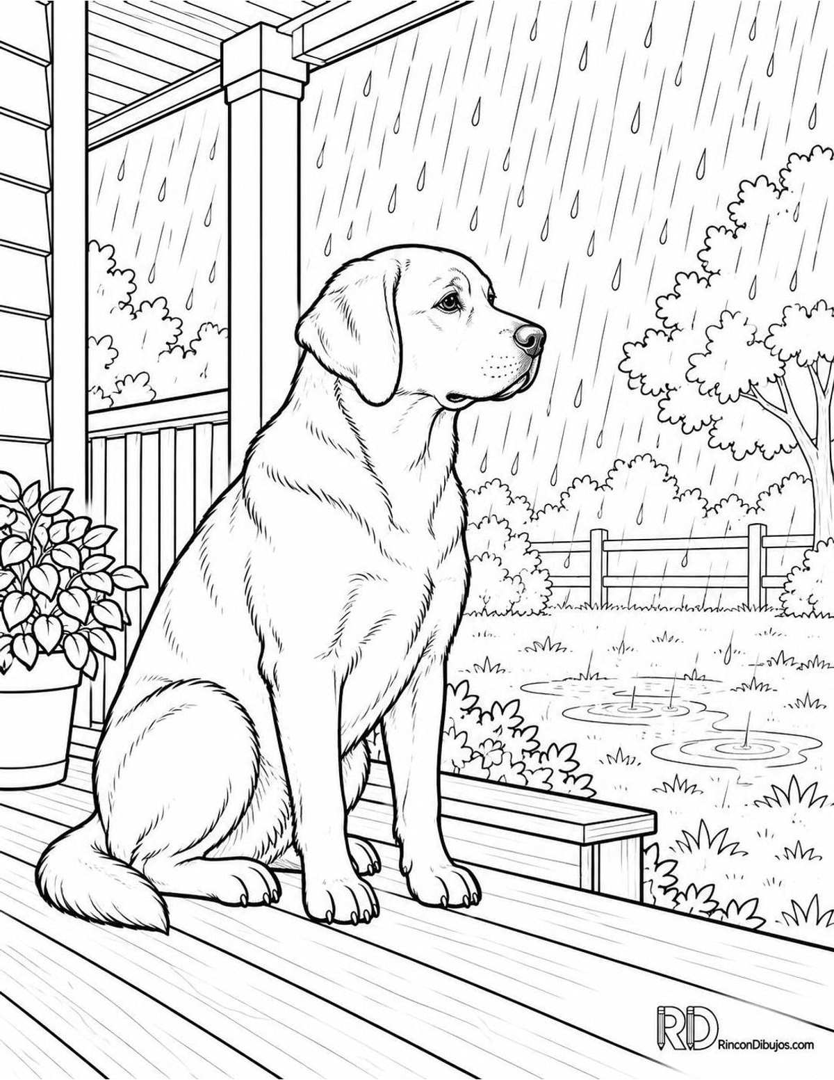 Dibujo de labrador viendo lluvia para colorear Dibujo de labrador viendo lluvia para colorear
