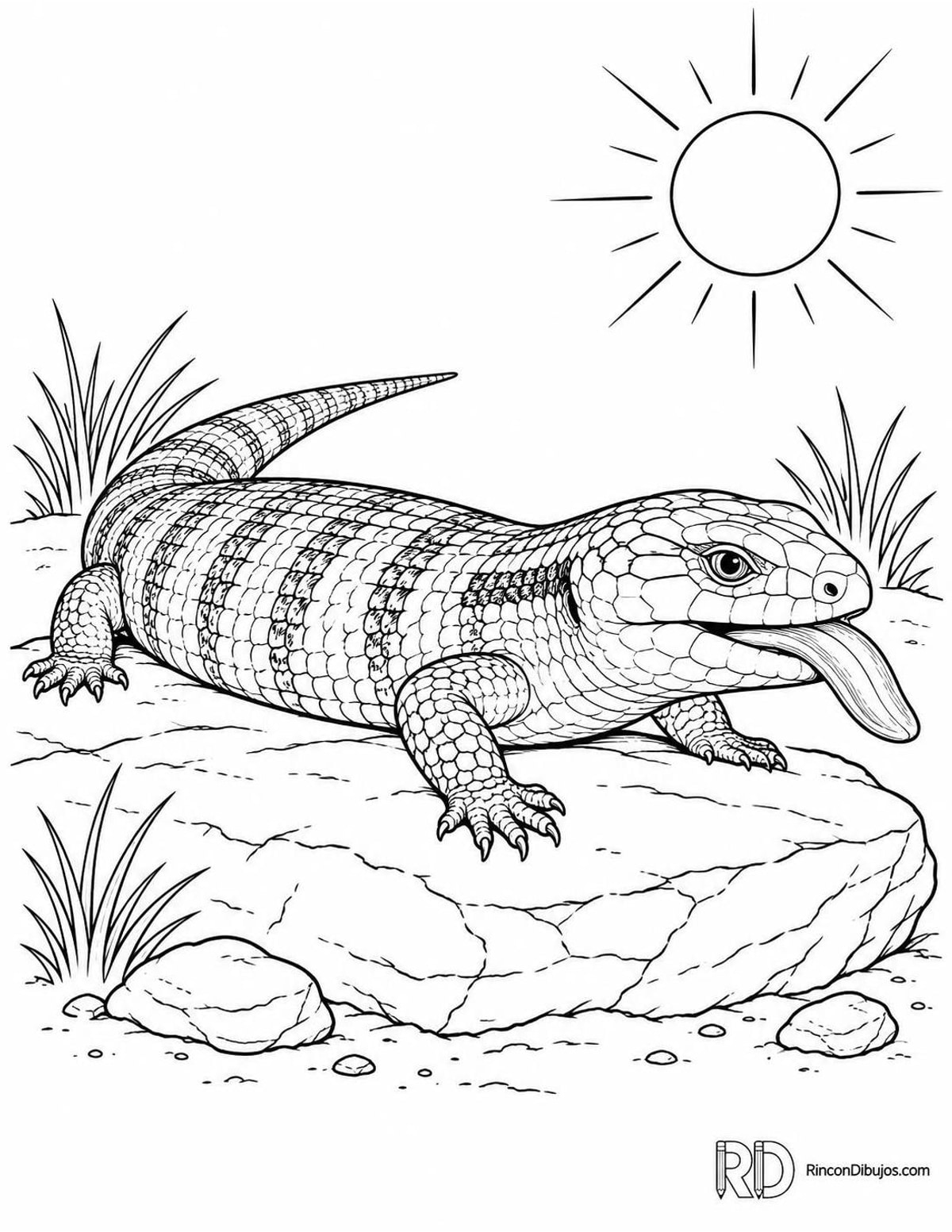 Dibujo de lagarto de lengua azul para colorear Dibujo de lagarto de lengua azul para colorear