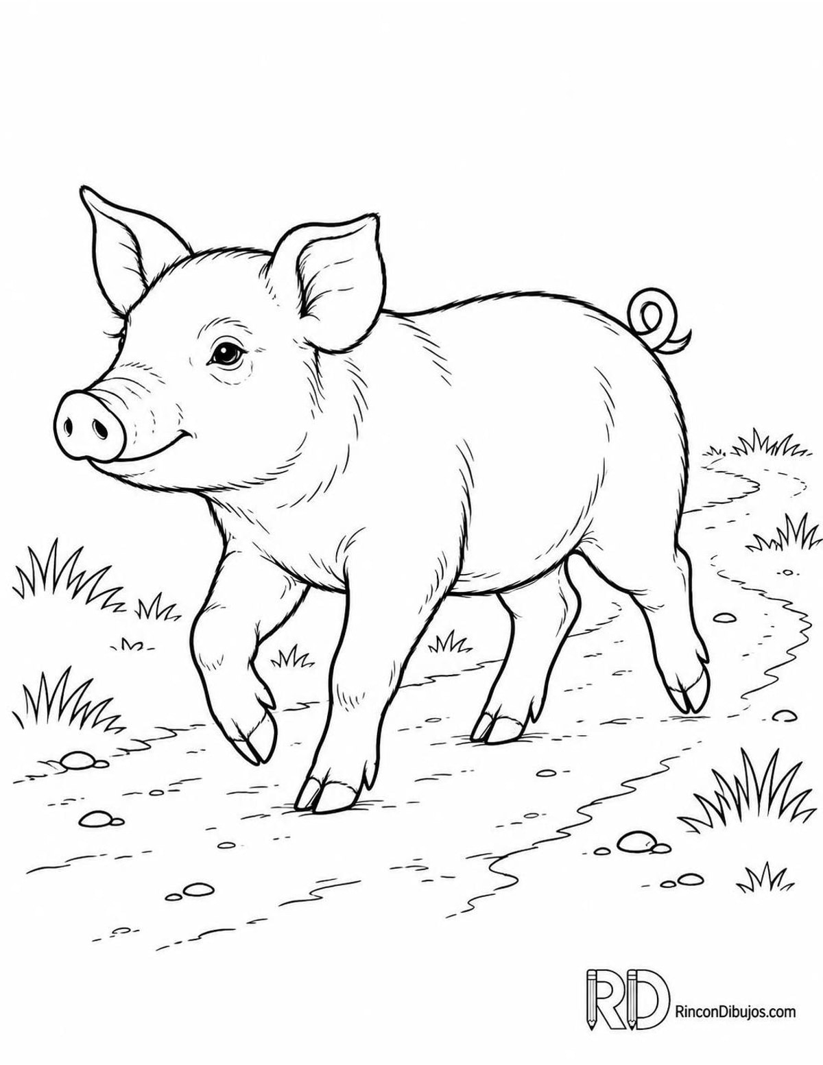 Dibujo de lechón trotando para colorear Dibujo de lechón trotando para colorear