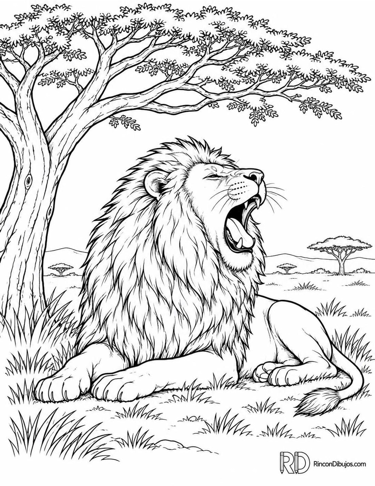 Dibujo de león bostezando para colorear Dibujo de león bostezando para colorear