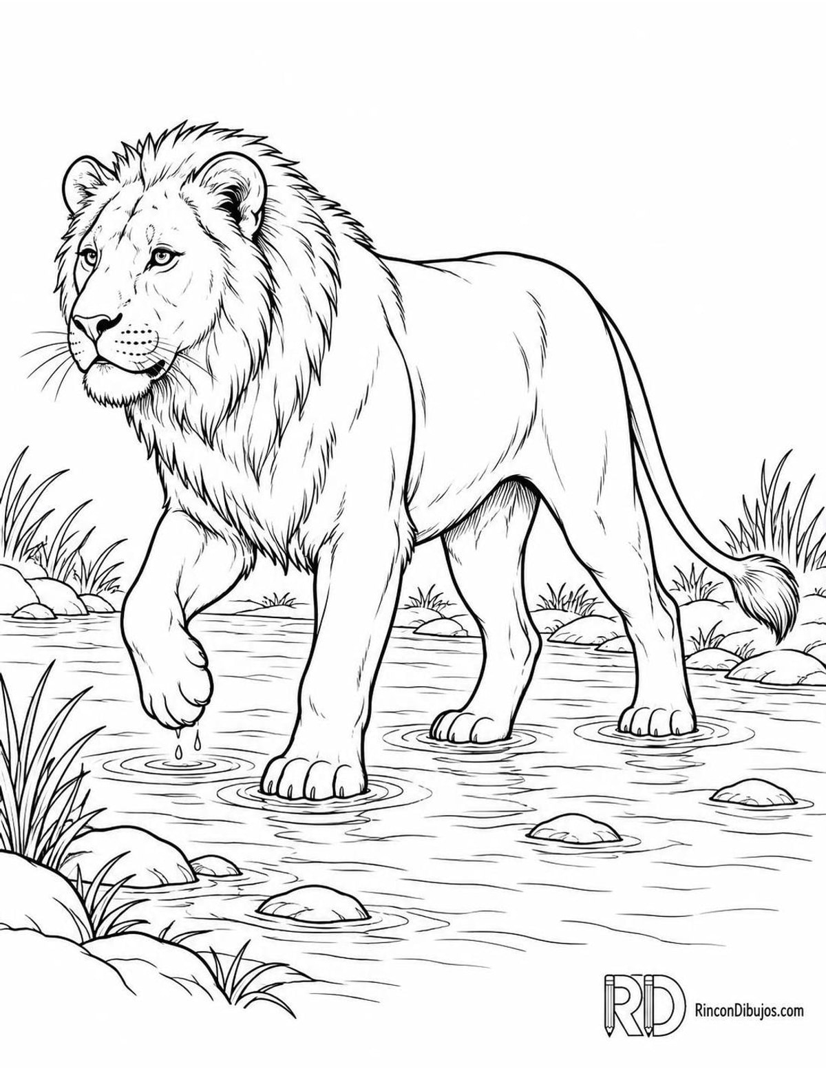 Dibujo de león cruzando un arroyo para colorear Dibujo de león cruzando un arroyo para colorear