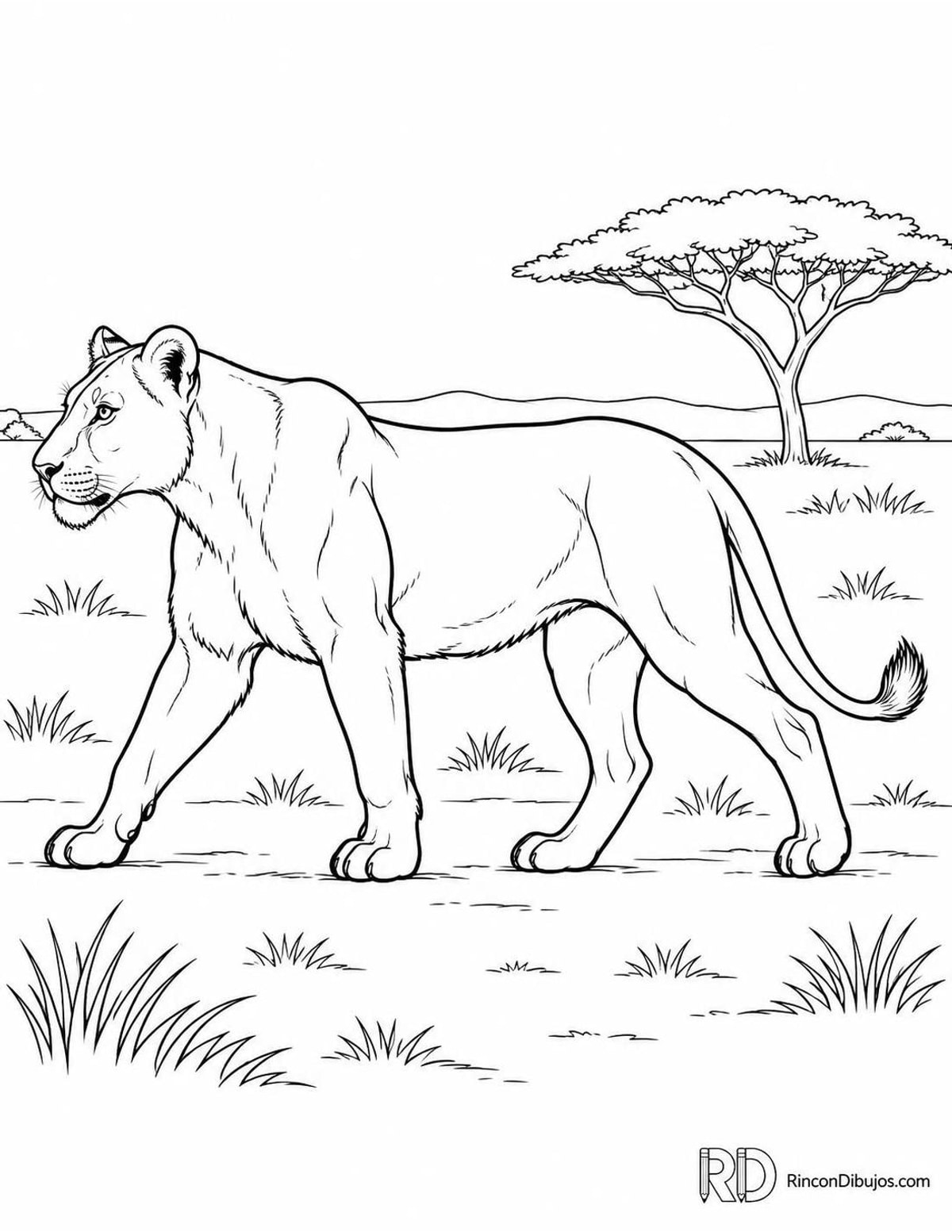 Dibujo de leona caminando para colorear Dibujo de leona caminando para colorear